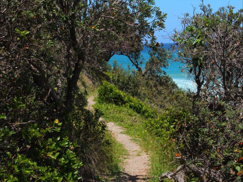 Honestly, the tracks around Wilsonâs Headland are ridiculously pretty.
