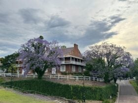 Doctors House, Thompson Square