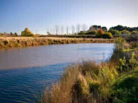 Wingecarribee River Walk, Cecil Hoskins Nature Reserve. Photo: Nick Cubbin