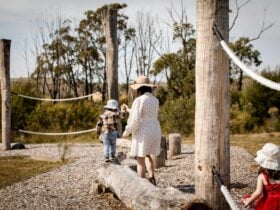 Natire PLayground, Wingello State Forest