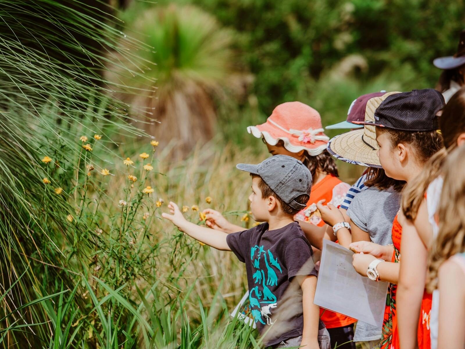 Kids looking at native yellow flowers in the Botanic Garden