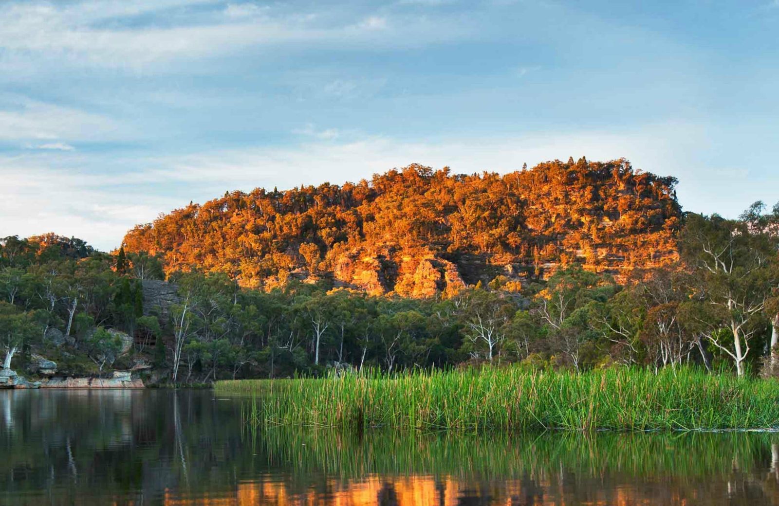 Dunns Swamp - Ganguddy campground, Wollemi National Park. Photo: Ingo Oeland