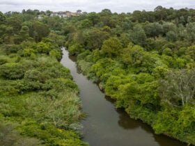Wolli Creek, Wolli Creek Regional Park. Photo: John Spencer, © DCCEEW