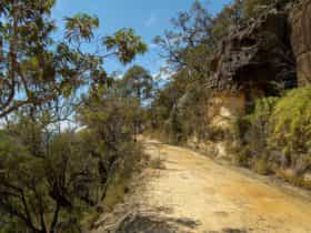 Womerah Range trail, Parr State Conservation Area. Photo: Susan Davis/NSW Government