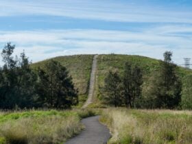 A pathway leading to a grassy hill lookout