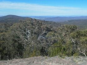 Norths lookout, Woomargama National Park. Photo: David Pearce/NSW Government