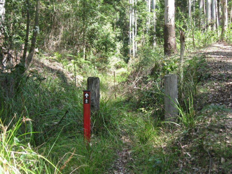 Trail marker along the walking track