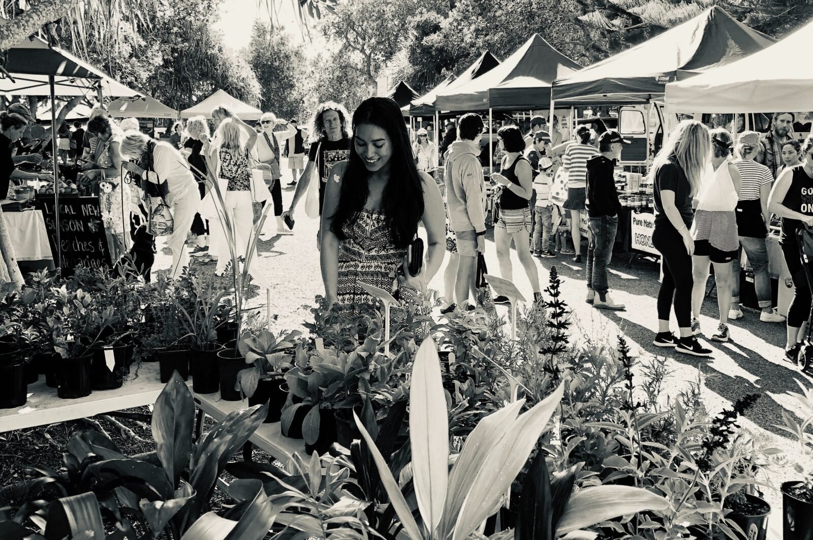 Shopping at the Yamba Farmers and Producers Market.