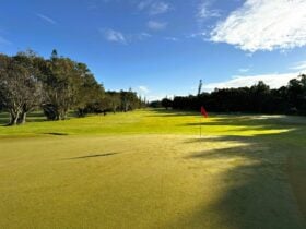 1st hole at Yamba Golf Club