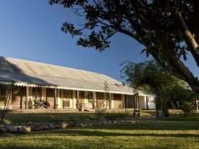 Yanga Homestead, Yanga National Park. Photo: David Finnegan © OEH