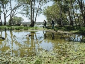 Two people walking along Yanga Lake walking track in Yanga National Park. Credit: Ain Raadik ©