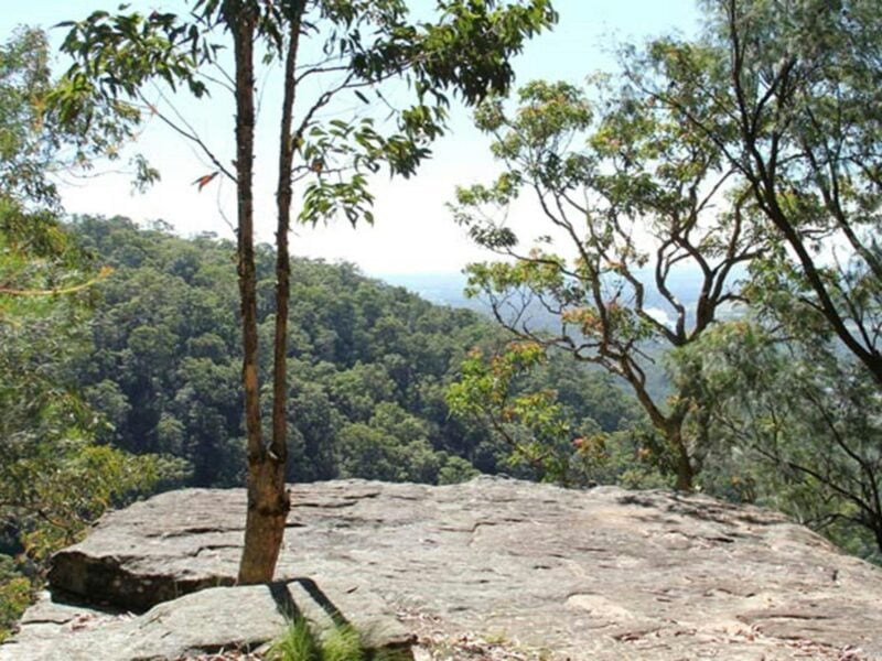 Yellow Rock, Yellomundee Regional Park. Photo: John Yurasek/OEH