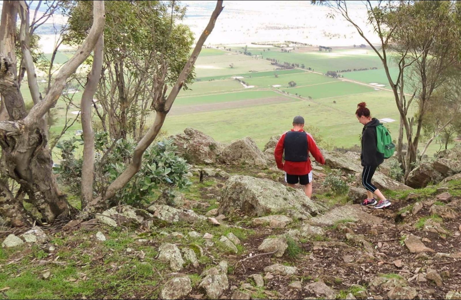 Yerong walking track, The Rock Nature Reserve - Kengal Aboriginal Place. Photo: A Lavender