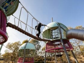 Yerradhang Nguru - Gumnut Camp