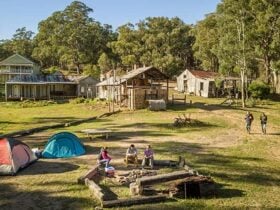 Campers sitting around the fire pit near their tents at Private Town campground in Yerranderie