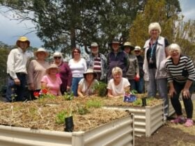 Yerrinbool Railway Garden 1
