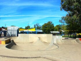 Young Skate Park bowl