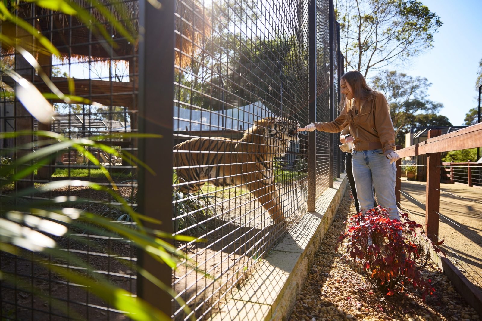 Penrith Zambi Wildlife Sanctuary