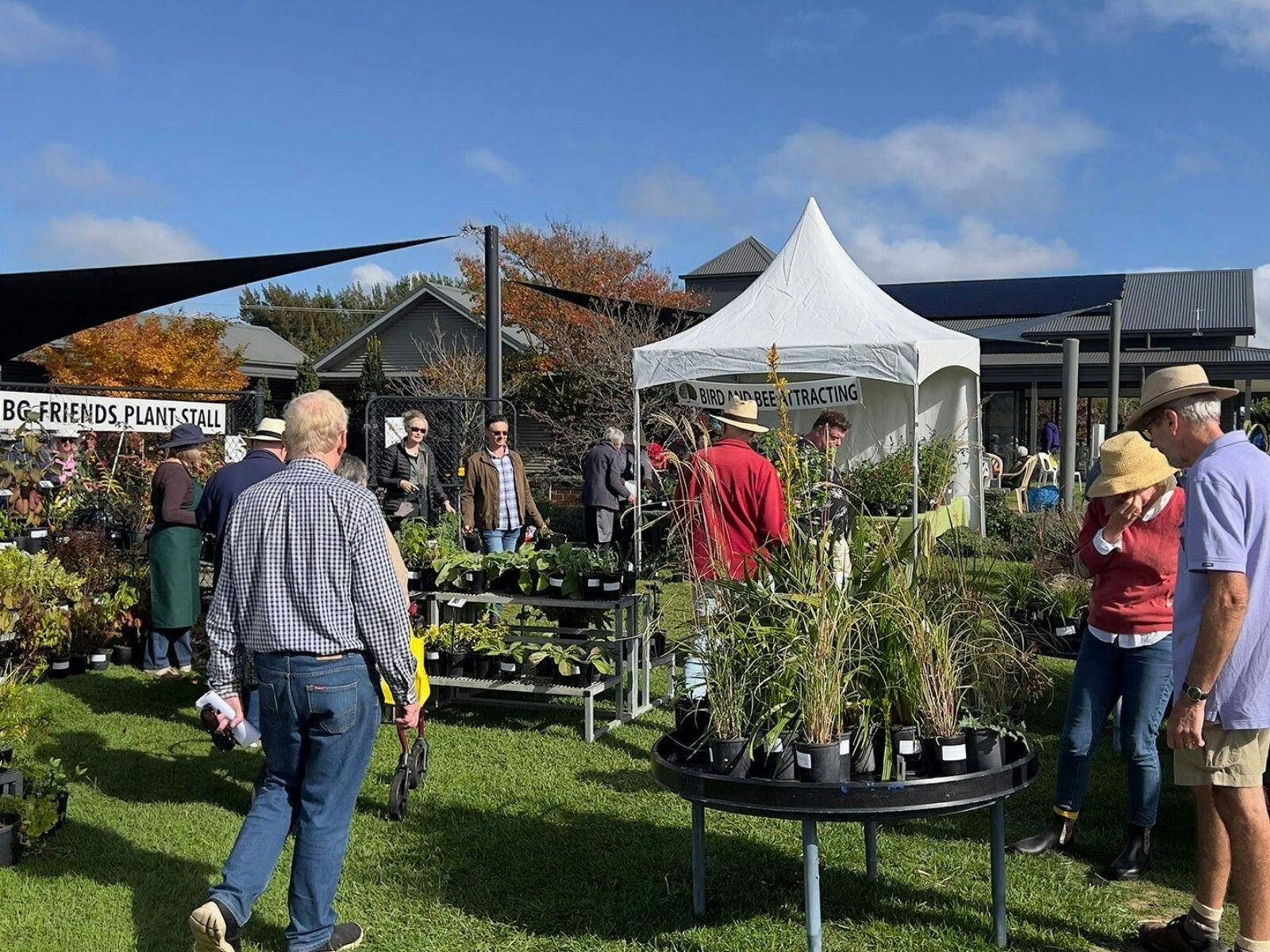 Collector Plant Fair