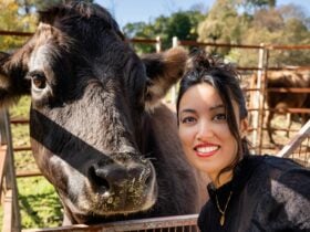 A woman smiling taking a selfie with a cow