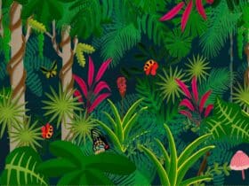 Alchemy of a Rainforest