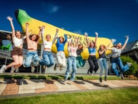 The Big Banana Fun Park Accessibility