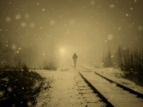 An Unseasonable Fall of Snow - Snow_SEPIA