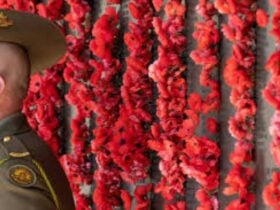 Image of Soldier and Poppies