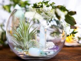 Air Plant & Crystal Terrarium