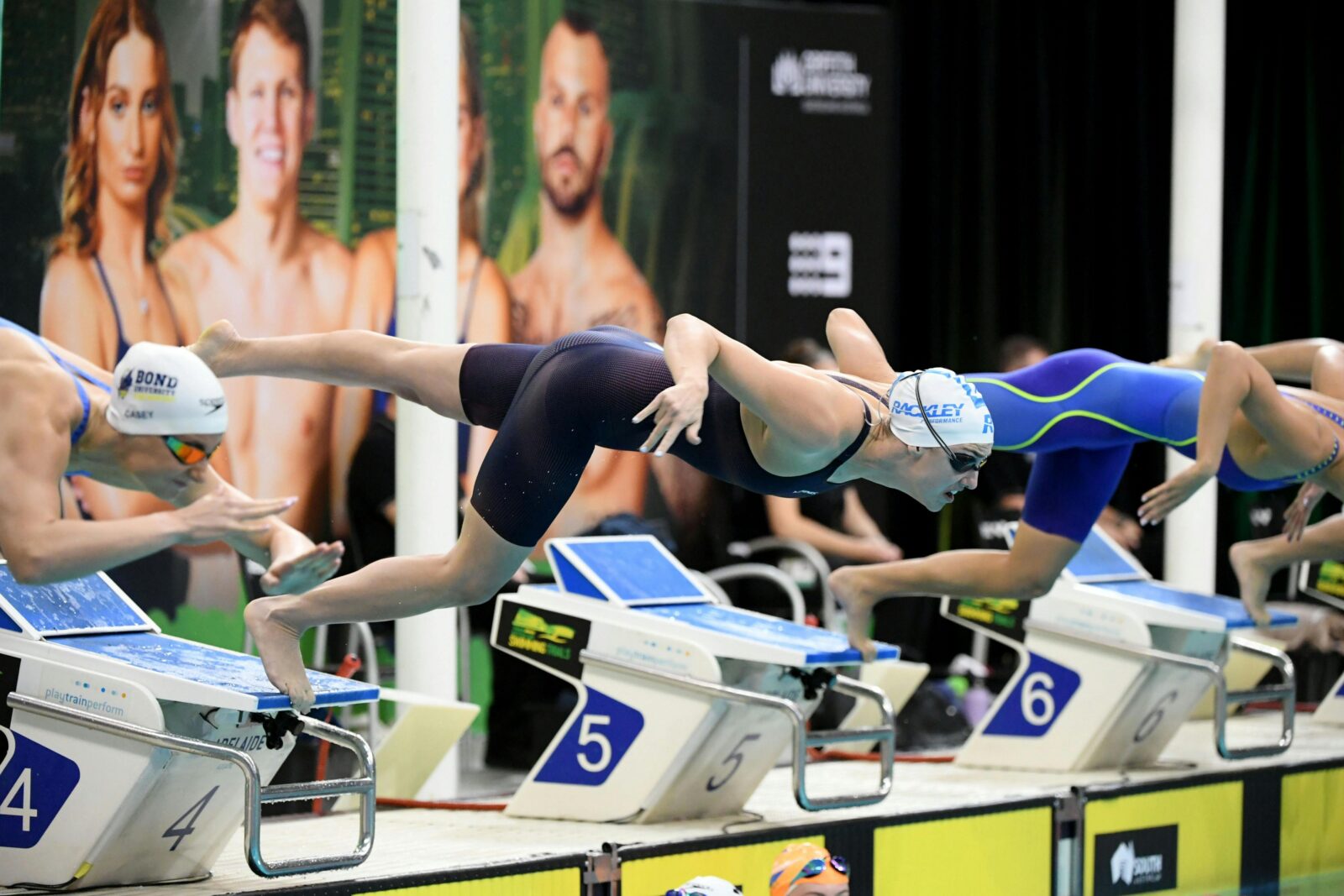 Several swimmers are depicted diving into the pool to race at the 2025 Australian Trials
