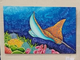 BACCI Art and Craft Show - May Show