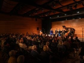Audience watching a classical music concert
