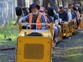 Miniature Train