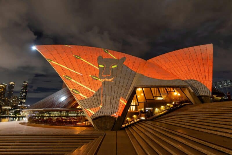 Red sails with a large panther