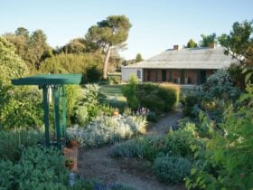 Riversdale - Front garden