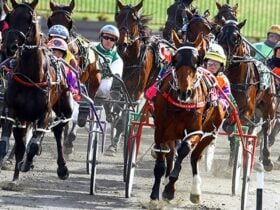 Bathurst Harness Racing