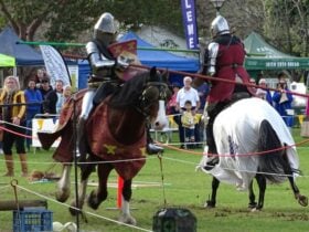 Live entertainment with jousters, medieval knights, bands, heavy lifters, food and street stalls.