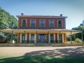 Big Bad Wolf at Tocal Homestead