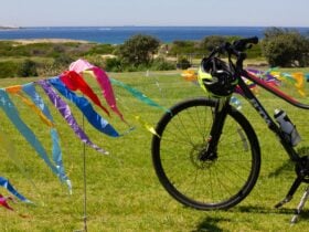 A bike and colourful flags with the beach in the background