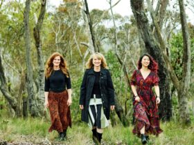 Three musicians walking in the Blue Mountains bushland