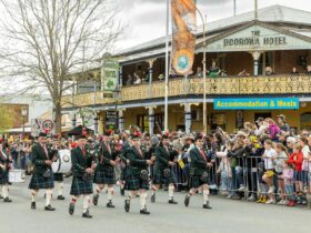 Massed band marching in street parade with crowd watching in front of Irish pub