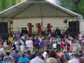 Hounddogs performing at Sapphire City Festival