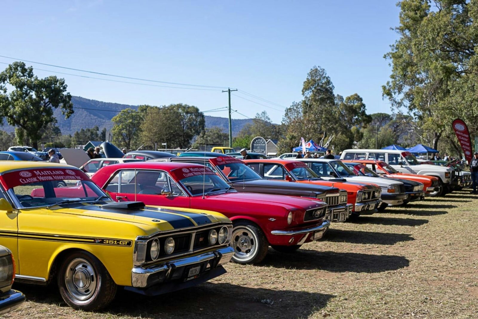 A line up of vintage cars