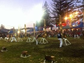 Woodchopping in Brunswick Heads