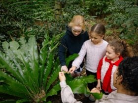 Kids enjoying program