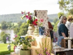 A seleciton of ceramic goods are placed on a table outdoor with river views behind