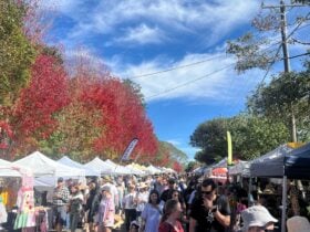 Burrawang Easter Market