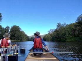 Canoes