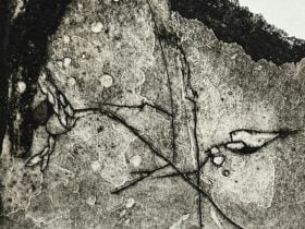 detail of black and white textured print