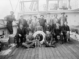 Cats & Dogs All At Sea exhibition